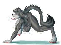 4:3 4_toes anthro breasts canid contortionism feet female flexible floppy_ears folded fur green_eyes grey_body grey_ears grey_fur grey_tail long_ears long_tail mammal nude solo tail toes tyy