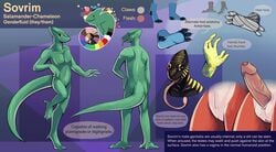 1boy 2017 5_fingers absurd_res amphibian animal_genitalia animal_penis anthro balls blep chameleon cuntboy cuntboy_only english_text erection feet fingers flaccid foreskin full-package_cuntboy genital_slit genitals herm hermaphrodite hi_res humanoid_genitalia humanoid_penis humanoid_pussy hybrid intact internal_balls intersex klippy lizard long_tongue male maleherm model_sheet multi_genitalia multicolored_body multicolored_skin nude partially_retracted_foreskin penis pink_tongue pussy reptile salamander_(amphibian) scalie shaded simple_shading slit solo sovrim_terraquian text tongue tongue_out uncircumcised uncut