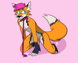 anthro canid canine collar fox fur furry furry_only genitals girly leash male male_only mammal penis petplay roleplay solo submissive tail umbreveon