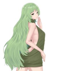 1girls alternate_costume back bare_back clothed fire_emblem fire_emblem_echoes:_shadows_of_valentia fire_emblem_gaiden gihachii green_hair highres long_hair looking_back solo_female sweater tatiana_(fire_emblem) very_long_hair virgin_killer_sweater