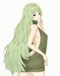 1girls alternate_costume bare_back clothed fire_emblem fire_emblem_echoes:_shadows_of_valentia fire_emblem_gaiden gihachii green_hair highres looking_back solo_female sweater tatiana_(fire_emblem) virgin_killer_sweater