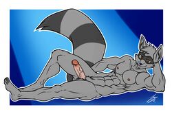 5_toes abs animated anthro erection juacamo male male_only muscular_male naked raccoon sly_cooper sly_cooper_(series) smooth_fur