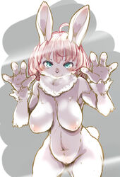 4_fingers anthro blue_eyes breasts female fingers fur genitals hair kemono lagomorph leporid looking_at_viewer mammal nipples nude pink_hair pussy rabbit setouchi_kurage solo white_body white_fur