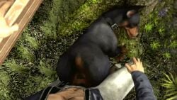 1boy 1girls 2017 3d animal_genitalia animal_pussy animated anus ass bestiality black_nose canine canine_pussy doberman duo female female_feral feral feral_on_human feral_on_male feral_penetrated human human_on_feral human_penetrating lying male male_human/female_feral male_on_feral mammal nude penetration penis pussy scrungusbungus sex shorter_than_10_seconds shovel straight tongue tongue_out vaginal_penetration gif zoophilia
