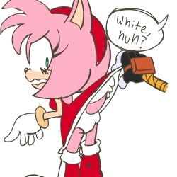 amy rose from idw publishing by citrus1694