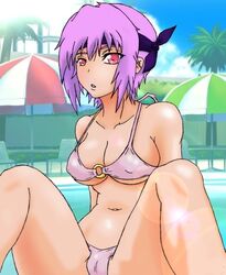 ayane_(doa) bikini breasts dead_or_alive purple_hair red_eyes salverion short_hair swimsuit