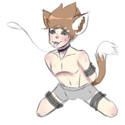 animal_ears animal_tail black_sclera bondage brown_hair catboy eddsworld male_only pulling_collar sweating tagme tom_(eddsworld) tongue underwear_only