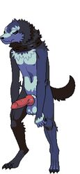 1boy anthro breeding_season canid_humanoid canine_genitalia canine_penis color colored furry knot male male_only solo tagme