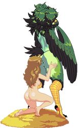 animated bird_girl breeding_season color colored female female_only furry interspecies monster_girl oral rimming tagme