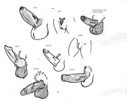 2016 aafiya_khalil_(spiff) ambiguous_gender ambiguous_species animal_genitalia animal_penis anthro balls black_and_white black_pubes calvin_lapin_(spiff) canid canine canine_penis canis circumcised disney english_text erection fan_character female foreskin genital_focus genitals grey_balls group humanoid_genitalia humanoid_penis humanoid_pussy hyaenid male mammal mark_trasheimer_(spiff) model_sheet monochrome original original_character original_characters penis pseudo-penis pussy samantha_hochschild sarah_handlebach_(spiff) simple_background spiff spotted_hyena tavit_khalil_(spiff) text traditional_media_(artwork) tristan_growlagher_(spiff) uncut vein veiny_penis white_background white_balls white_pubes wolf zootopia