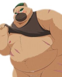 2020 anthro barely_visible_genitalia barely_visible_penis belly blush brown_body brown_fur canid canine canis clothing cute_fangs domestic_dog fur genitals hi_res kemono kwzu male male_only mammal moobs nipples overweight overweight_anthro overweight_male penis scar shirt simple_background solo tokyo_afterschool_summoners topwear video_games white_background yasuyori