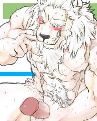 2006 4:5 anthro barazoku blush bodily_fluids digital_media_(artwork) erection felid fur furry_only genitals humanoid_genitalia humanoid_hands humanoid_penis kemono lion low_res male male_only mammal muscular muscular_anthro muscular_male nude oekaki pantherine pecs penis solo sweat unknown_artist white_body white_fur