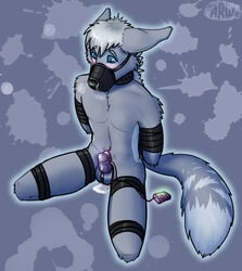 anthro arms_tied balls blue_eyes blush bodily_fluids bondage bound breath canid canine canis chastity_cage chastity_device collar edging egg_vibrator fur gag genital_fluids genitals grey_background grey_body grey_fur grey_hair hair hands_behind_back kneeling legs_tied looking_down male mammal muzzle_(object) penile penis precum precum_drip precum_on_ground sex_toy signature simple_background solo spread_legs spreading submissive submissive_male vibrator vibrator_on_penis wolf wolfurryon