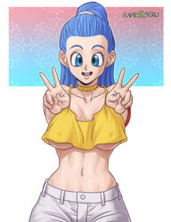 bulma briefs from dragon ball by kameseru