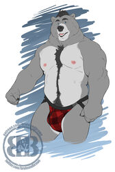 2020 anthro asher_(bruteandbrawn) barazoku belly black_hair black_nose black_pubes blue_eyes body_hair bruteandbrawn bulge clothed clothing digital_media_(artwork) eyebrows fingers front_view fur grey_body grey_fur grin hair happy_trail hi_res jacket jockstrap looking_at_viewer male male_only mammal multicolored_body multicolored_fur musclegut navel nipples open_mouth pecs pinup pose pubes red_clothing red_jacket red_jockstrap red_topwear simple_background slightly_chubby smile solo standing topless topwear two_tone_body two_tone_fur underwear ursid watermark