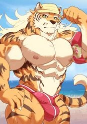 anthro bara barazoku beach bulge furry furry_only gay green_eyes istani male male_only muscular swimsuit swimwear tiger underwear