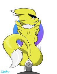 anthro anthro_only digimon furry penetration penis pov renamon simple_background sos_or_loss unknown_male yiff