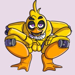 avian big_pussy bird chica_(fnaf) chicken crisis-omega female five_nights_at_freddy's galliform gallus_(genus) genitals hi_res large_labia phasianid purple_eyes pussy solo video_games