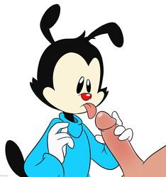 animaniacs animaniacs_(2020) anthro duo genitals hi_res holding_penis hulu human humanoid_genitalia humanoid_penis inkblot kuruko male male/male mammal penis simple_background solo_focus tongue tongue_out wakko_warner warner_brothers white_background young