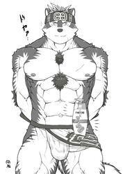 abs absurd_res accessory anthro balls_outline blush canid canine canis clothed clothing erection erection_under_clothing fur fur_tuft furry_only genital_outline genitals hands_behind_back headband hi_res horkeukamui loincloth looking_at_viewer male male_only mammal meme miyabi13783794 muscular muscular_anthro muscular_male nipples pecs penis poking_out scar shampoo_challenge simple_background solo tokyo_afterschool_summoners topless tuft underwear vein veiny_penis video_games white_background wolf