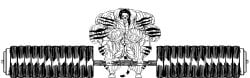 abs e19700 female hair muscular muscular_arms muscular_female muscular_legs muscular_thighs tail weights