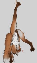 3_fingers absurd_res angry anthro big_tail black_nipples black_paws breasts breasts_on_face canid canine clothing covering covering_crotch dress exposed_breasts female fingers fox hanged hi_res lexel732 mammal nipples rope simple_background solo tail upside-down white_background white_clothing white_dress