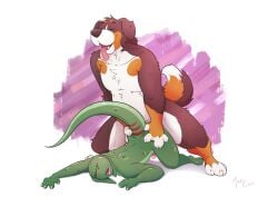 absurd_res anthro bernese_mountain_dog canid canine canis doggy_style domestic_dog from_behind_position hi_res lizard male male/male mammal marscanis molosser mountain_dog nude nude_male reptile scalie sex swiss_mountain_dog