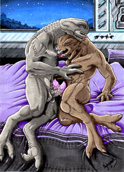 alien avoid_posting balls duo elite_(disambiguation) frottage genitals halo halo_(series) hi_res male male/male microsoft nyhgault penis ribbed_penis sangheili sex video_games vien_quitonm xbox_game_studios