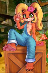 2020 4_toes 5_fingers activision anthro areola bandicoot black_nose blonde_hair breasts claws clothed clothing coco_bandicoot computer crash_(series) crate digital_media_(artwork) edit electronics female fingers gesture green_eyes hair hi_res laptop long_hair mammal marsupial nipples overalls partially_clothed rysonanthrodog sitting smile solo toe_claws toes v_sign video_games