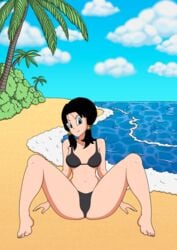 beach dragon_ball dragon_ball_z legs_apart pgsrule34 videl