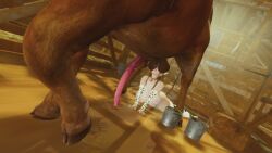 1animal 1girls 3d animal_genitalia balls balls_sucking ballsack big_balls big_penis breasts brown_hair bull farm female honey_select_2 human_on_feral illusion_soft interspecies large_breasts nude_female on_the_ground purple_eyes stable viktorkrev white_body worship worshiping zoophilia