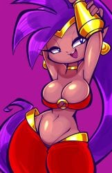 shantae (character) from shantae by jek korpen