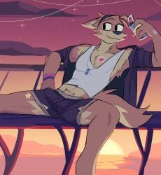 2023 accessory anthro athletic athletic_male bisexual_pride_colors bottomwear bulge canid canine canis clothed clothing cloud container countershade_fur countershading cup detailed_bulge domestic_dog drinking_straw fully_clothed fur genital_outline hair_accessory hairband hi_res holding_container holding_cup holding_object jaybeyyy jewelry lgbt_pride looking_aside male mammal necklace open_clothing open_shirt open_topwear outside penis_outline pride_colors pube_peek pubes reclining shirt shorts sitting sky solo spread_legs spreading star starry_sky sticker stickers_on_body sunset tail topwear undershirt