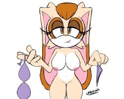 vanilla the rabbit from sega by cpjloods