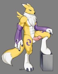 2020 anthro badroy black_claws blue_eyes claws digimon digimon_(species) full-length_portrait furry_only genitals grey_background humanoid_genitalia humanoid_penis male male_only one_leg_up penis pink_penis portrait raised_leg renamon signature simple_background solo standing vein veiny_penis