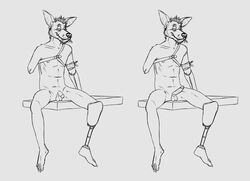 amputee anthro balls biped chiropteran disability foxmusk genitals hair hi_res male mammal monochrome nude penis prosthetic prosthetic_arm prosthetic_leg prosthetic_limb simple_background solo