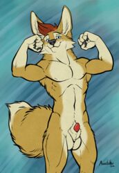 2020 abs animal_genitalia athletic athletic_male balls blue_eyes brown_hair canid canine fennec flexing fox genitals hair hi_res looking_at_viewer male male_only mammal nude penis pose richard_foley sheath solo standing