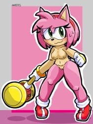 amy_rose anoers anthro anthro_female anthro_only boobs breasts exposed exposed_boobs exposed_breasts exposed_nipples exposed_pussy exposed_tits exposed_vagina female female_only furry furry_female furry_only hedgehog hedgehog_girl pussy tits vagina