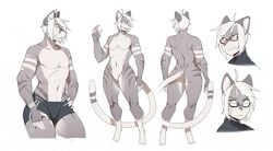 anthro blush cat_ears cat_tail character_sheet color feline furry furry_only glasses male male_only notglacier shirtless silvermist_(notglacier) solo tail