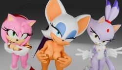 3girls amy_rose anthro_female blaze_the_cat furry rouge_the_bat sega sonic_(series) sonic_the_hedgehog_(series) venasreturn1