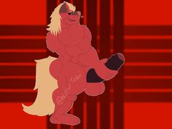 4:3 animated big_muscles big_penis canid canine canis genitals hi_res huge_muscles lusttobi male male_only mammal muscular penis short_playtime wolf