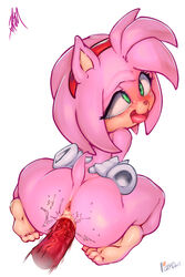 2:3 amy_rose anthro anus ass big_butt blush eulipotyphlan female female_penetrated hedgehog knuckles_the_echidna looking_pleasured male male_penetrating male_penetrating_female mammal penetration penile penile_penetration penis_in_pussy sex sonic_(series) sonic_the_hedgehog_(series) straight thefuckingdevil tongue tongue_out vaginal_penetration