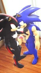 3d 9:16 balls digital_media_(artwork) duo erection frottage genitals handjob hi_res loafsfm male male/male muscular muscular_male nipples pecs penile penis sex shadow_the_hedgehog smile sonic_(series) sonic_the_hedgehog source_filmmaker standing