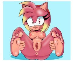 amy rose from sega by akuzaguy