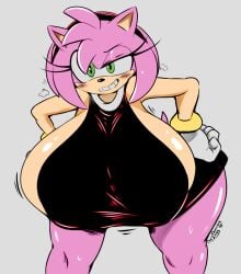 amy rose from sonic (series) by colorshun