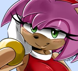 amy rose from sonic (series) by colorshun