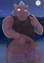 2020 anthro balls beach belly blush brown_body brown_fur clothed clothing erection fur furry_only genitals goujuyu gouryou hi_res humanoid_genitalia humanoid_hands humanoid_penis kemono male male_only mammal moon muscular muscular_anthro muscular_male night outside overweight overweight_anthro overweight_male penis seaside shirt solo suid suina sus_(pig) swimwear tokyo_afterschool_summoners topwear video_games water wild_boar