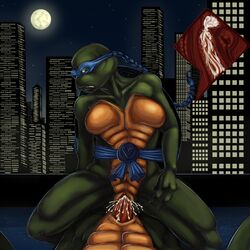 alternate_breast_size anthro female male male_pov moon night ninja_turtles:_the_next_mutation outdoors pov sex straight tagme teenage_mutant_ninja_turtles turtle venus_de_milo