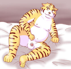 2006 anthro balls belly felid fur genitals kemono lako low_res male male_only mammal micropenis nipples overweight overweight_male pantherine penis sitting small_penis tiger white_body white_fur yellow_body yellow_fur