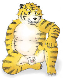 2006 anthro balls belly felid flaccid fur genitals humanoid_genitalia humanoid_penis kemono lako low_res male male_only mammal moobs nipples pantherine penis sitting slightly_chubby small_penis tiger yellow_body yellow_fur